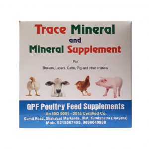 GPF Trace Mineral & Mineral Supplement_New