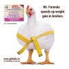 GPF-Weight-Formula_1new