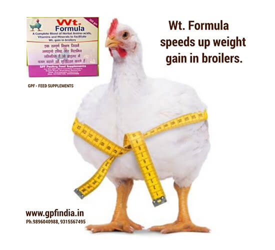 GPF-Weight-Formula_1new