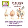 GPF-Weight-Formula_2new