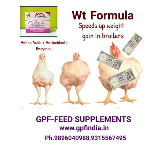 GPF-Weight-Formula_2new