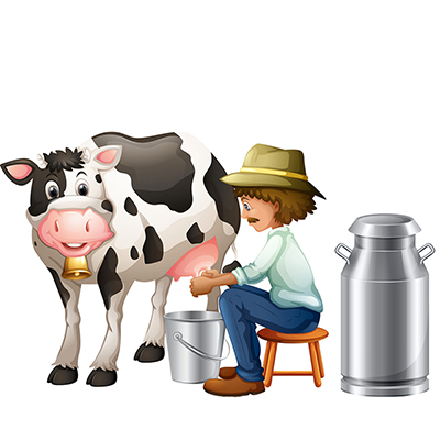 Cattle suppments image_cover