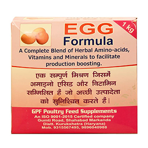 Egg Formula_Bn2