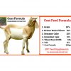 GPF Goat Formula_1