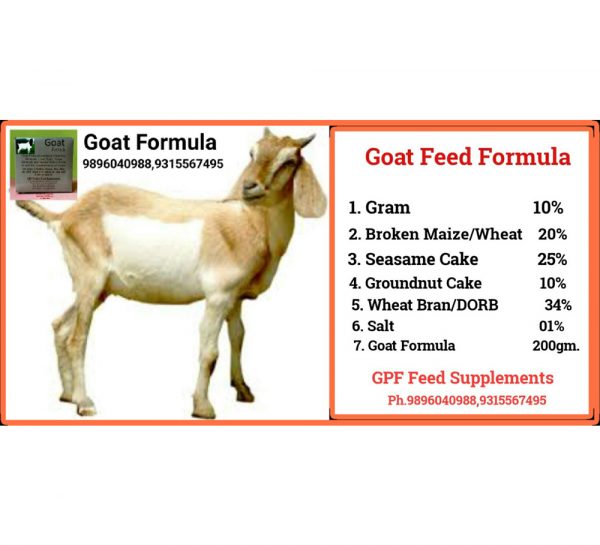 GPF Goat Formula_1