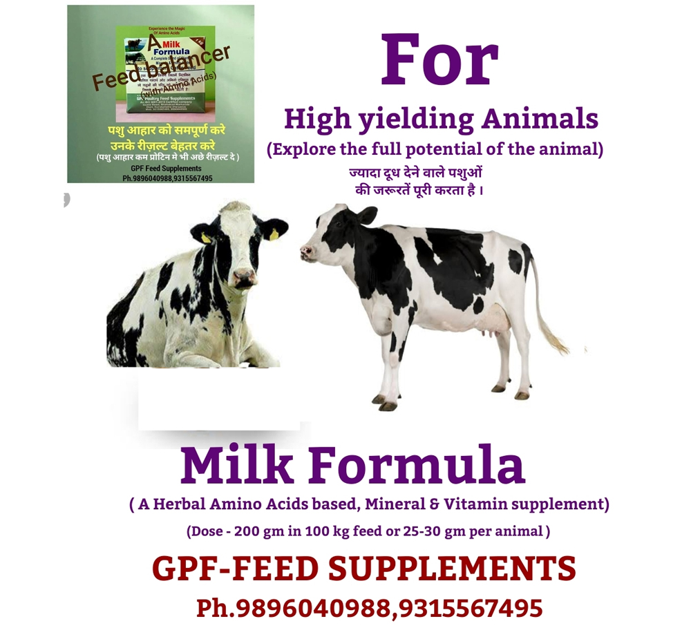 Milk Formula – GPF