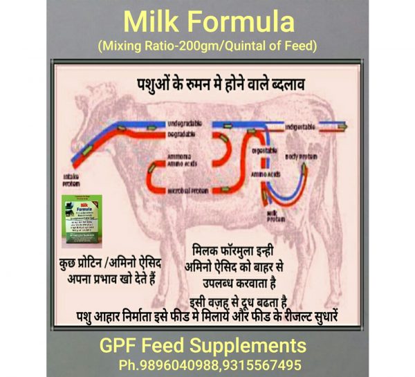 GPF Milk Formula_3