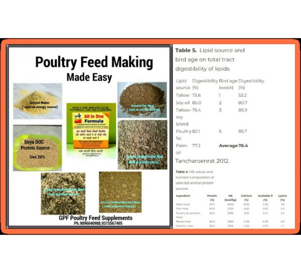 GPF Poultry All-In-One Formula_1