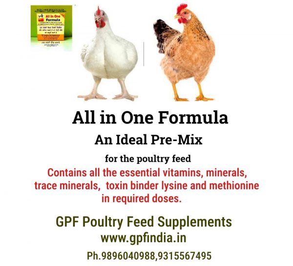 GPF Poultry All-In-One Formula_6