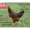 GPF Poultry Egg Formula_2