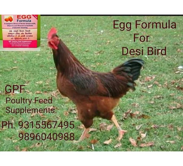 GPF Poultry Egg Formula_2