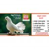 GPF Poultry Egg Formula_4