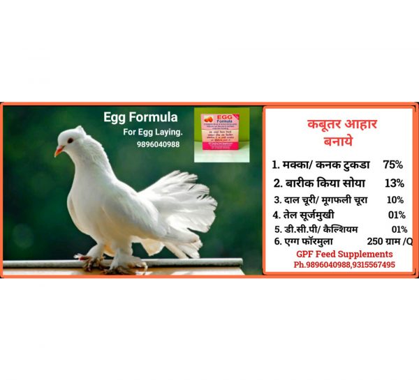 GPF Poultry Egg Formula_4